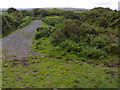 Bridleway to Pitton Cross