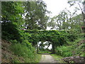 Road bridge over cycleway nr. Heligan