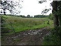 Cluntydoon Townland