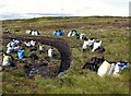 Peat cutting