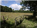 Meadow beside the Wagaford Water