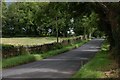 The Bann Road near Poyntzpass