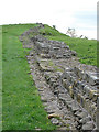 NY8070 : Hadrian's Wall near Milecastle 35 by Mike Quinn