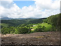 View across clear fell to the fields around Cwm-heisian-ganol