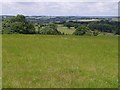 Fields south of Black Torrington