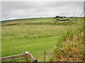 SX0986 : Looking towards Condolden Farm by John Lucas