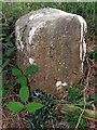 SU1803 : Parish boundary marker on Knaves Ash barrow, New Forest by Jim Champion