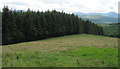 Rough grazing and forest at Gwynfynydd