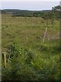 Boundary fence, Kingston Great Common NNR