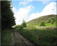 SH7229 : Approaching the northern limit of the Coed y Brenin forest by Eric Jones