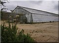 Glasshouses at Wolverton Farm