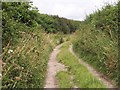 Oakley Lane, Sixpenny Handley