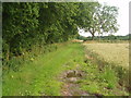 Pinholes Lane from Ruddings Lane