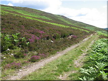 NN6865 : Track on north bank of Loch Errochty by Chris Wimbush