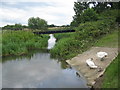 Side channel of the River Avon