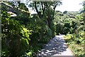 The Road into Cot Valley