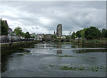 R3450 : Castles of Munster: Askeaton, Limerick (2) by Mike Searle
