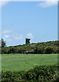 V9731 : Castles of Munster: Rossbrin, Cork by Mike Searle