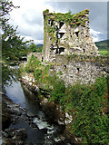 W0456 : Castles of Munster: Carriganass, Cork (1) by Mike Searle