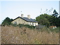 Clay Hall (behind a ripe crop of oil seed rape)