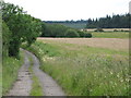 Farmland, plantations and the track to North Cocklake