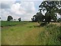 SE3491 : Field off Green Hills Lane by Chris Heaton