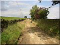 Byway to Nether Moor, South Crosland