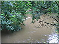 River Stour at Eccliffe