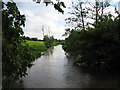 River Stour near Eccliffe