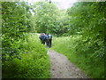 Walkers in Tideswell Dale