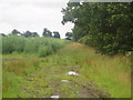 Farmland south of Ninescores Lane