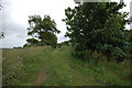 Old farmtrack near Greenheads Farm