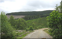 SH7425 : Entrance to the Dolfrwynog section of Coed y Brenin Forest by Eric Jones