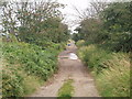 Hatfield Lane to Level Crossing