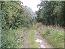 SE6416 : Fowdall Lane by Glyn Drury