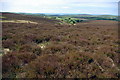 From Exmoor to the Coast