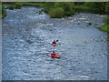 Kayaking at Yair