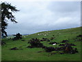 Start of the Kerry Ridgeway