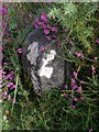 SU1800 : Boundary marker stone, Lugden Barrow, New Forest by Jim Champion