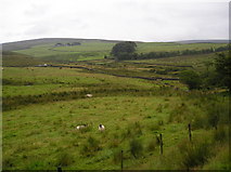 SD5349 : View from the footpath to Fell End by ray blow
