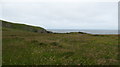 Grassy clifftop near Tiumpan Head