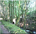 Track bridge in Planfa Fawr Plantation