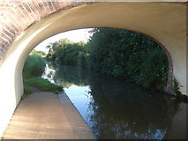 SO9159 : Canal Bridge between Oddingley and Dunhampstead by Trevor Rickard