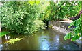 The Thames at Cricklade