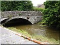 Bridge at Bettws Cedewain