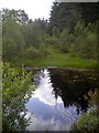 NN1776 : Small Pond in Leanachan Forest by Iain Thompson