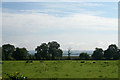 Farmland near Annagh