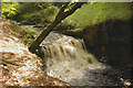 SD6520 : Waterfall on River Roddlesworth by Mr T