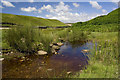 SE0265 : Bolton Gill by Andrew Whale