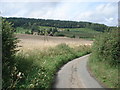 Farmland near Green House